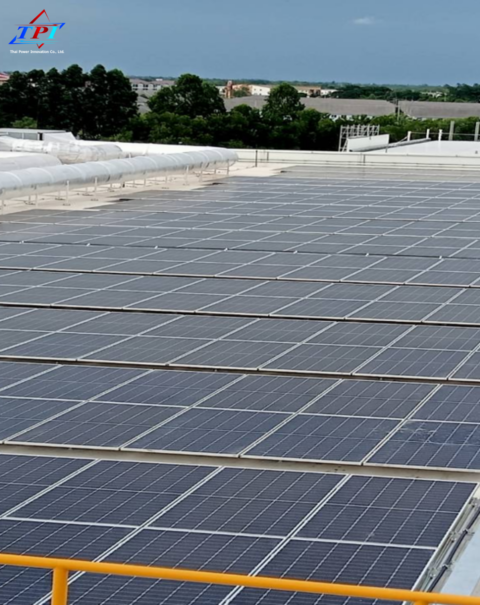 Solar Rooftop Mars Petcare-02