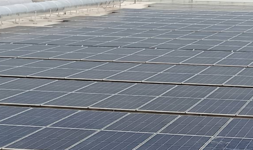 Solar Rooftop Mars Petcare-02